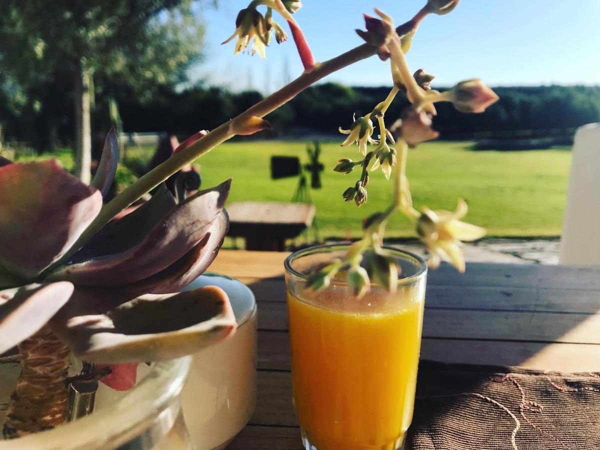 Olive Grove Guest Farm Βίλα Beaufort West Εξωτερικό φωτογραφία