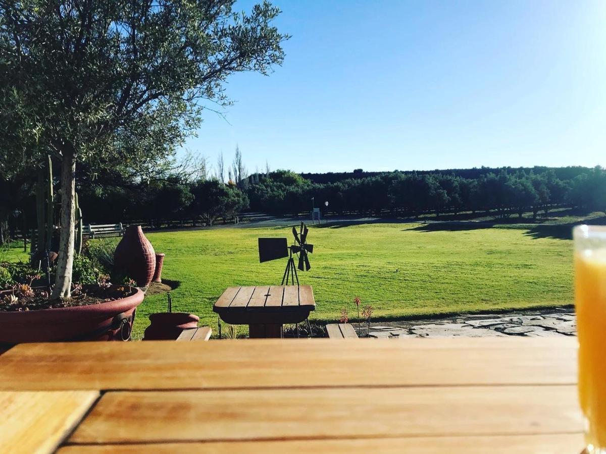 Olive Grove Guest Farm Βίλα Beaufort West Εξωτερικό φωτογραφία