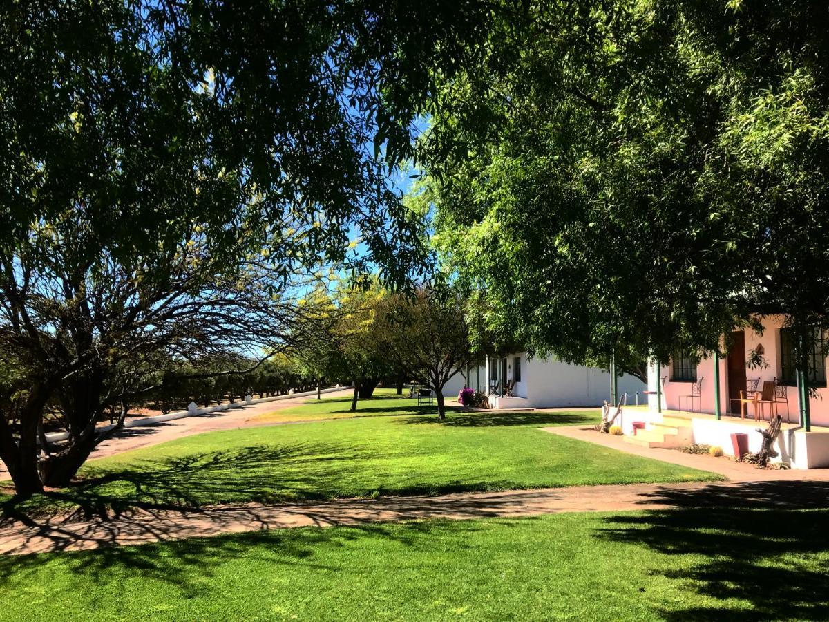 Olive Grove Guest Farm Βίλα Beaufort West Εξωτερικό φωτογραφία