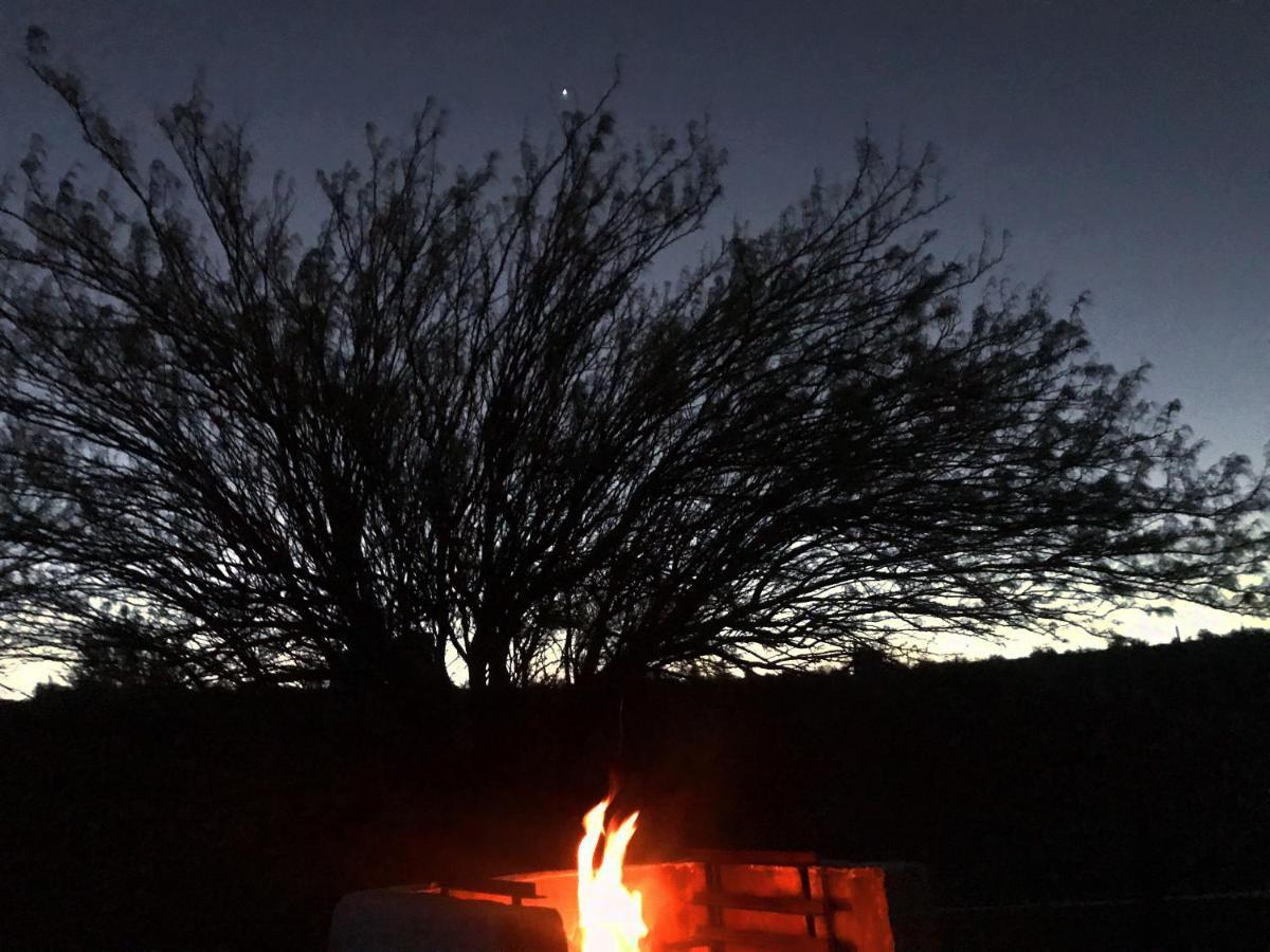 Olive Grove Guest Farm Βίλα Beaufort West Εξωτερικό φωτογραφία