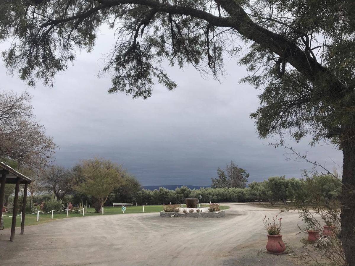 Olive Grove Guest Farm Βίλα Beaufort West Εξωτερικό φωτογραφία