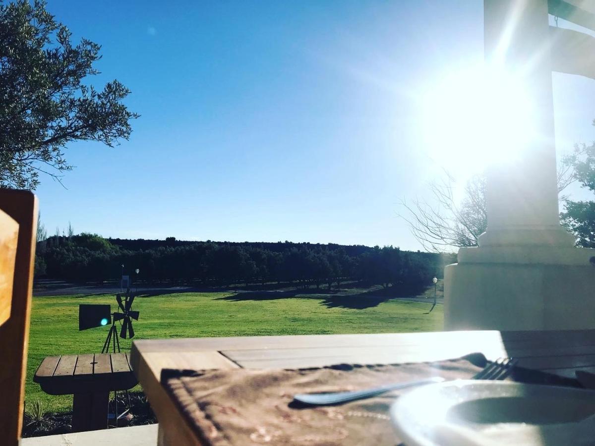 Olive Grove Guest Farm Βίλα Beaufort West Εξωτερικό φωτογραφία