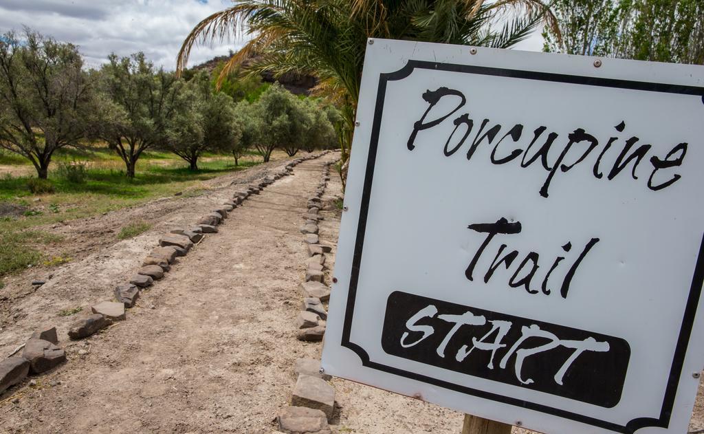 Olive Grove Guest Farm Βίλα Beaufort West Εξωτερικό φωτογραφία