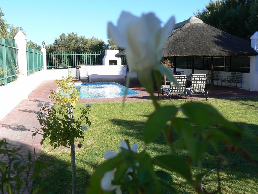 Olive Grove Guest Farm Βίλα Beaufort West Δωμάτιο φωτογραφία