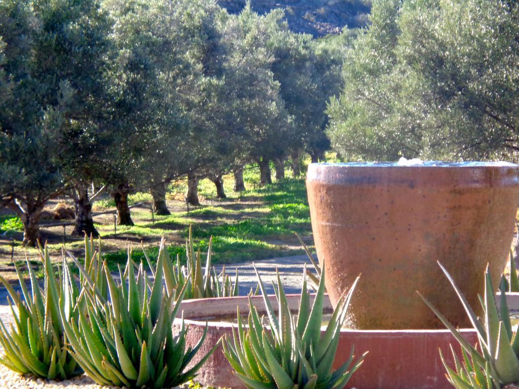 Olive Grove Guest Farm Βίλα Beaufort West Εξωτερικό φωτογραφία
