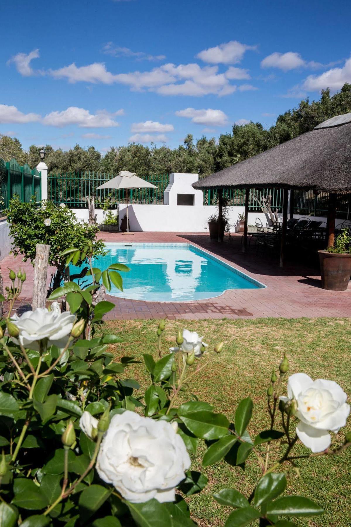 Olive Grove Guest Farm Βίλα Beaufort West Εξωτερικό φωτογραφία
