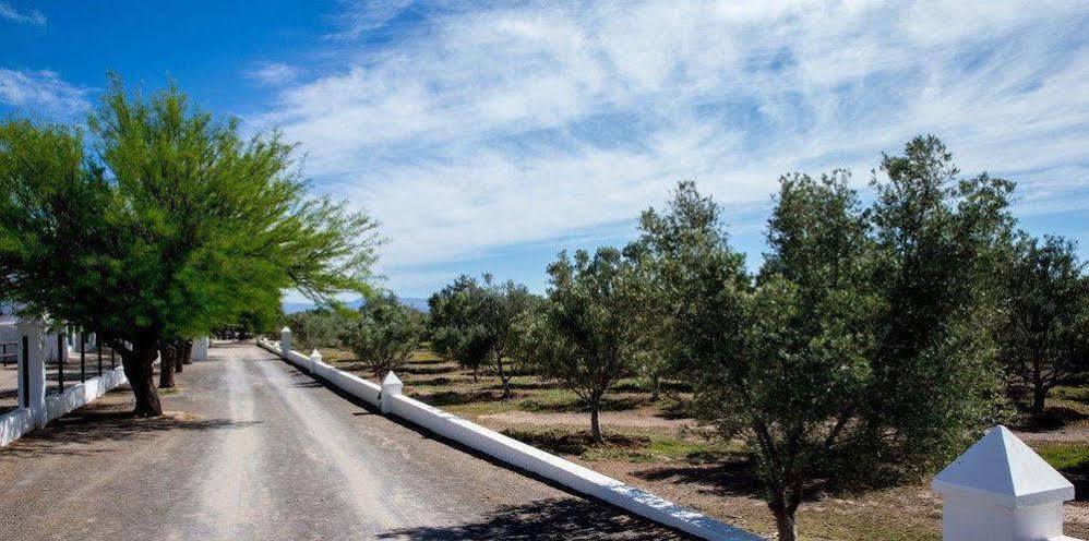 Olive Grove Guest Farm Βίλα Beaufort West Εξωτερικό φωτογραφία